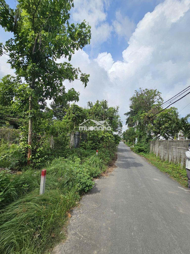 Bán gấp đất 250m2 mặt tiền võ thị du, ngang 5 dài 50, kinh doanh,trọ - 2