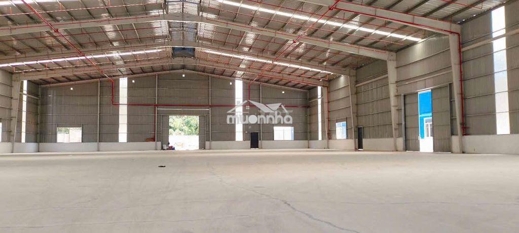 Xưởng cho thuê 4600m2 bến cát , pccc tự động ,giấy tờ đầy đủ , s.x24h - 2