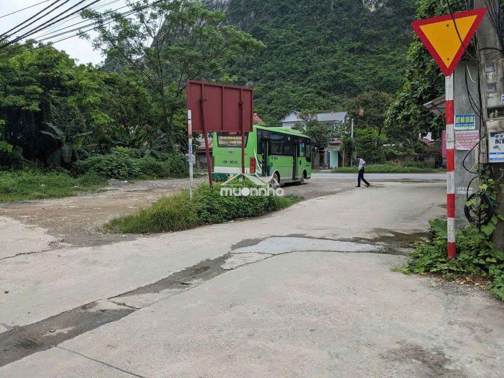 Đất vàng mặt đường làm biệt thự đẹp - 4
