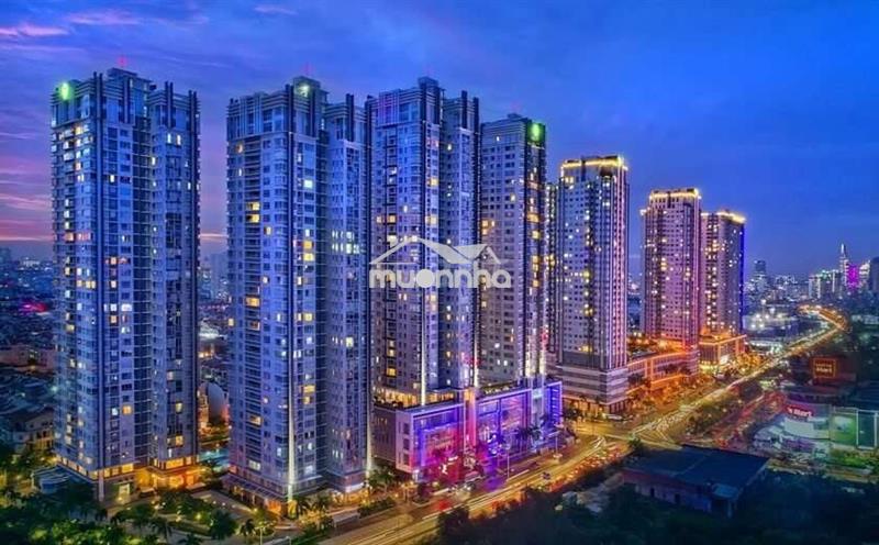 Chuyên cho thuê căn hộ sunrise city quận 7, studio, 1pn, 2pn, 3pn.
