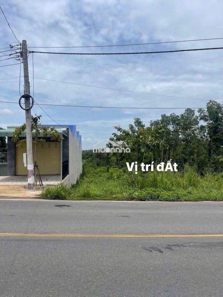 NGỘP - BÁN ĐẤT MẶT TIỀN ĐƯỜNG TỈNH 768 - 2