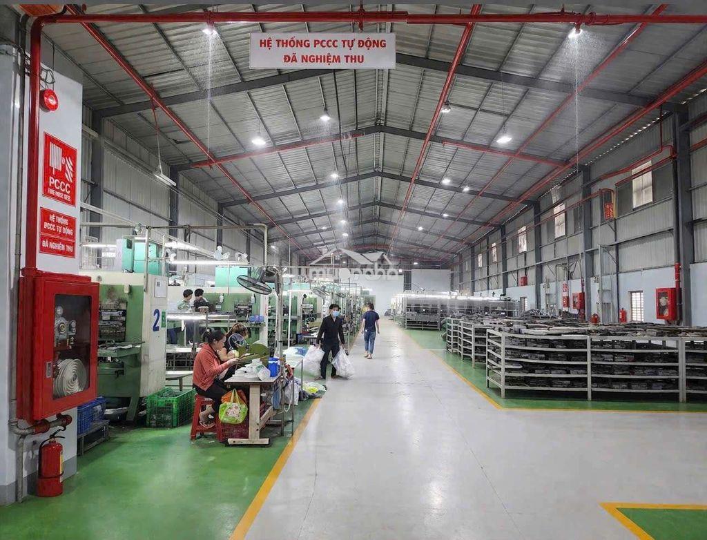 Cho thuê 3000m2 xưởng thuận an , pccc tự động , đ.cont , g.tờ đầy đủ - 2