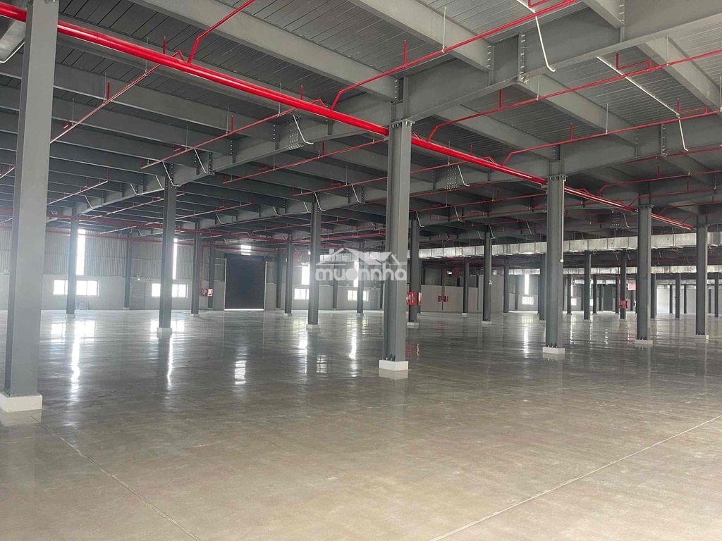 Cho thuê kho xưởng lầu trệt kcn bình dương - 4
