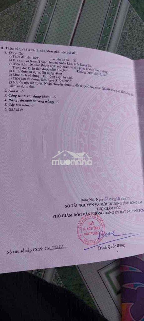 Kẹt tiền cần bán gấp - 4