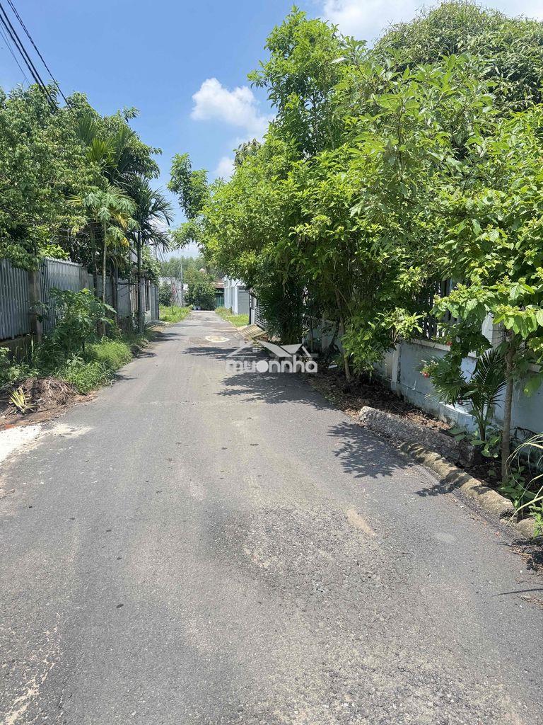 Bán đất shr thổ cư gần chợ trường học sân bay long thành chỉ 1ty800 - 2