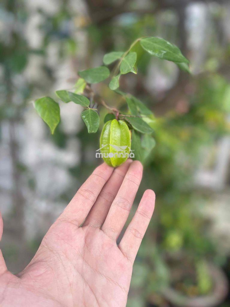 (7tỷ) nhà 4tầng đường xe hơi thông 2 đầu. lê văn việt q9