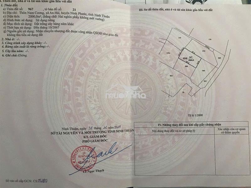 Bán đất tại kdl đồi cát nam cương, tp. phan rang, diện tích 2000 m2
