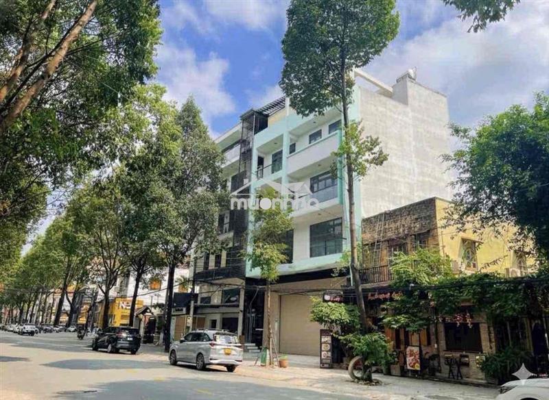Cho thuê mặt bằng kinh doanh – phú hòa, thủ dầu một, bình dương ______