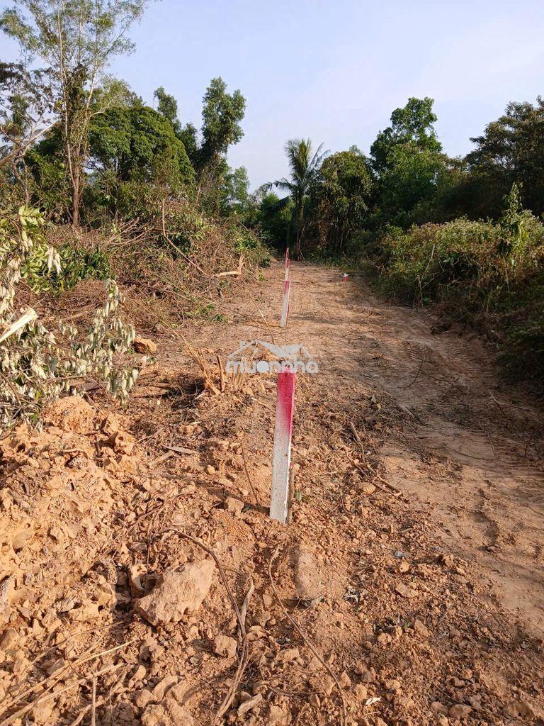 🔥 Siêu phẩm đất phú quốc — đầu tư sinh lời cực mạnh - 4