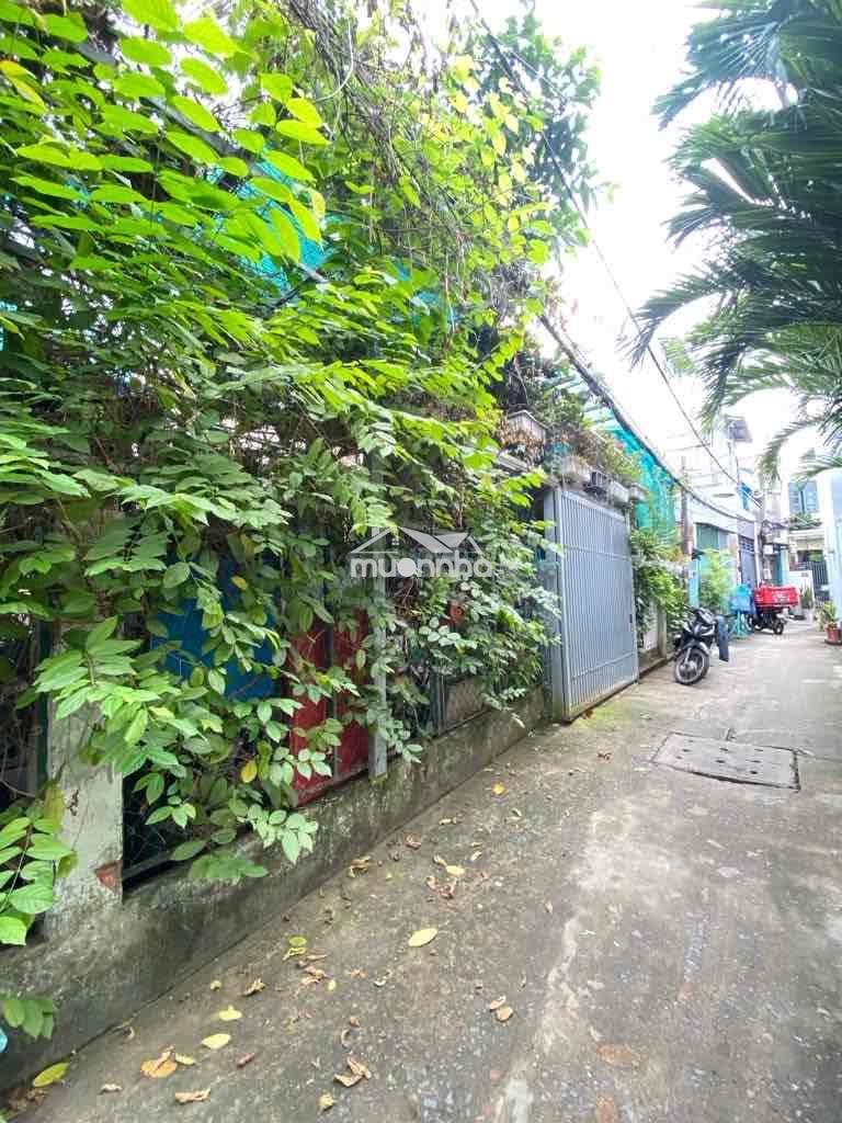 Biệt thự vườn 165m2- ngang 14m- huỳnh tấn phát quận 7- giá 5 tỷ hơn - 3