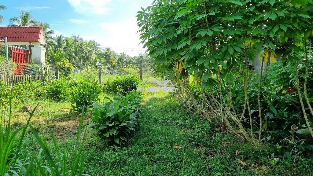 Đất xây biệt thự gần chợ cầu xây - 4