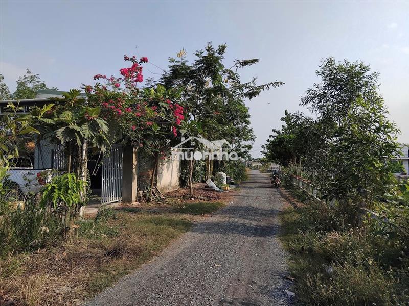 Cho thuê nhà 2 tầng, 250m2 ấp 5 xã tam an, 500m ra kcn long thành, bxh