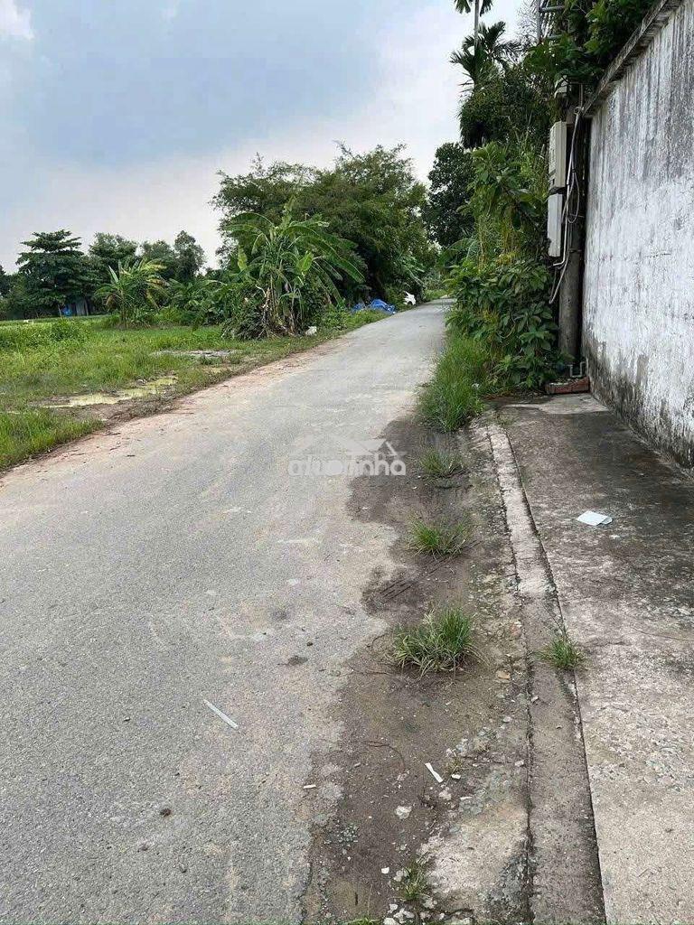 Bán nhà kho chánh mỹ - tdm - 3