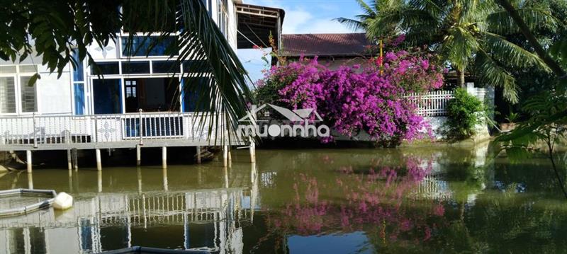 Bán trọn gói nhà vườn quy mô ~12.000m² tại hàm thuận nam – bình thuận