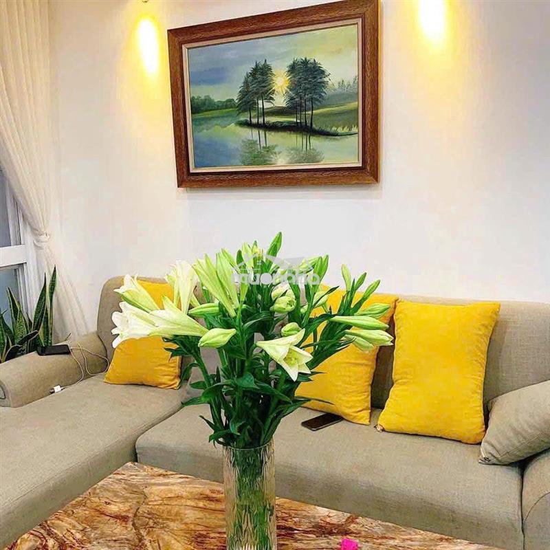 Cho thuê căn hộ remax plaza quận 6 