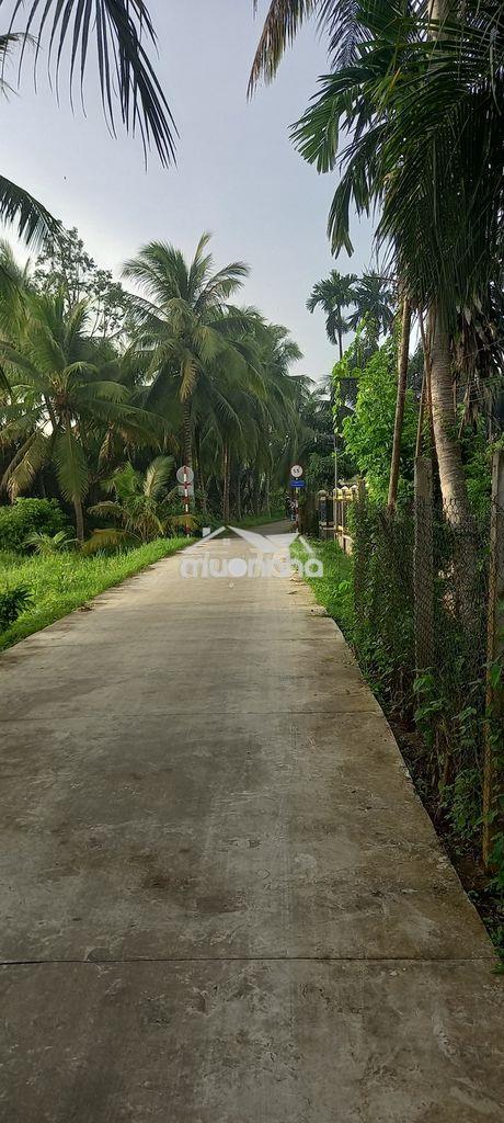 Cơ hội sở hữu quỹ đất lớn tại vị trí "vàng" của xã vĩnh kim - 2