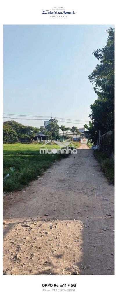 Nhà thuê  sơn mới 4-20 đường lại hùng cường vĩnh lộc b bình chánh phcm - 4