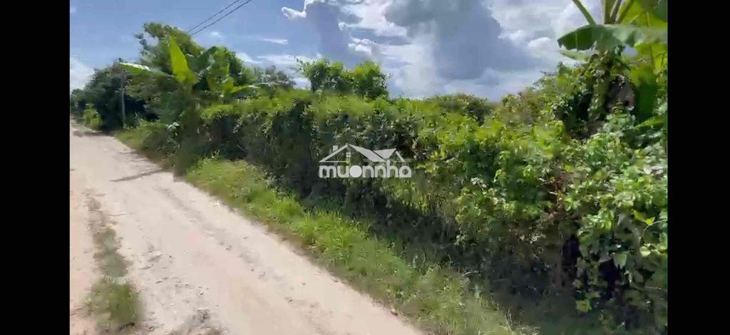 Đất trường đông hoà thành cln - 2