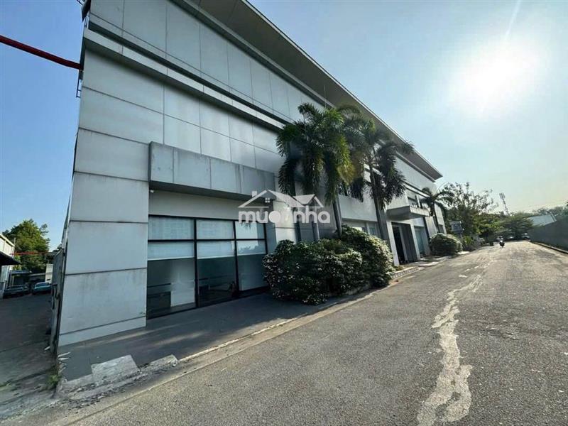 Cho thuê kho 2000m2 - mặt tiền cộng hòa – tân bình | diện tích lớn
