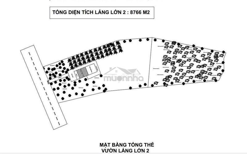 Bán gấp 8.815m2 mặt tiền có 600m2 thổ cư, xà bang láng lớn, chính chủ