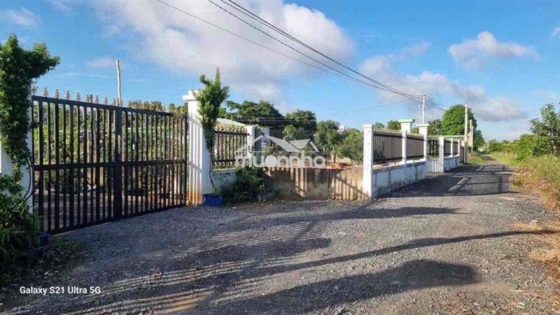 Bán đất vườn 500m2 nở hậu đường ô tô 7m xã mỹ lộc cần giuộc giá 3 tỷ