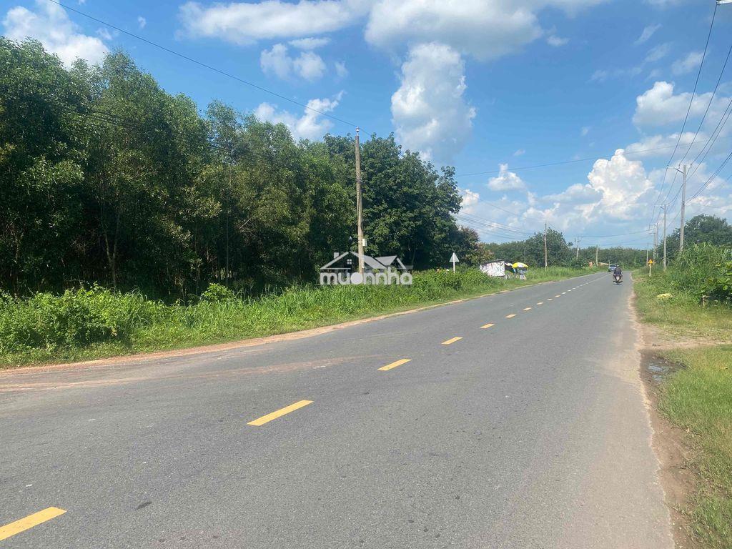 Bán 5600m2 đất 2 mặt tiền nhựa tân biên, tây ninh. giá 6,5 tỷ - 3