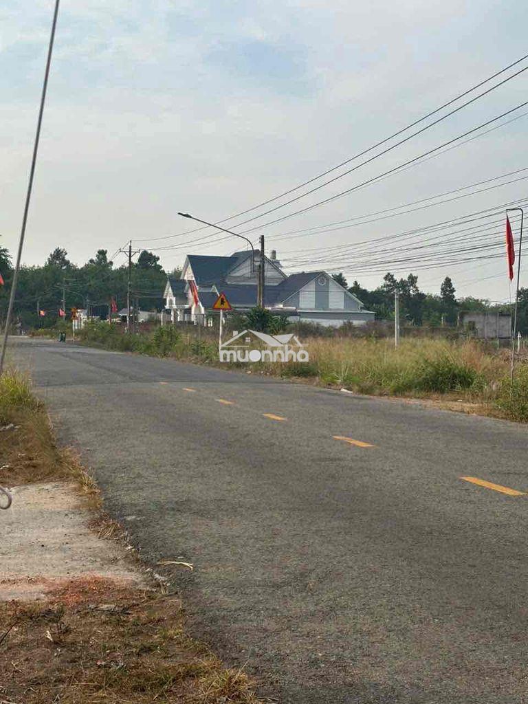 Bán nhà cấp bốn mặt tiền đường nhựa - 2
