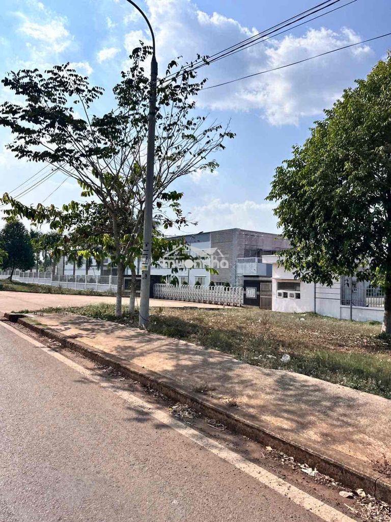 Đất nền mặt tiền long khánh