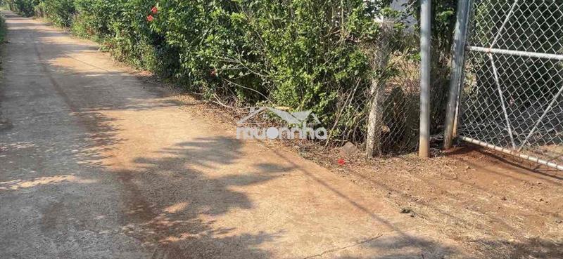 Nhà vườn trái cây 975k/m2- 2000m2 80m2 thổ cư