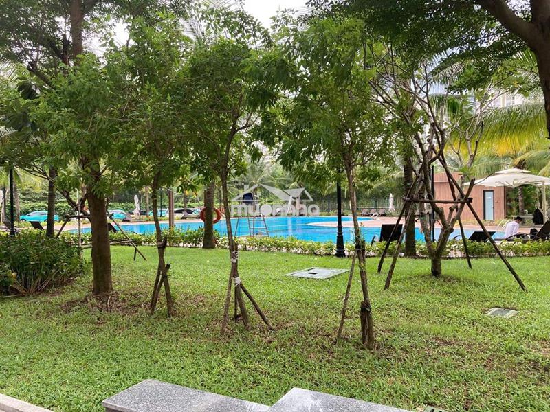 Cho thuê căn hộ studio