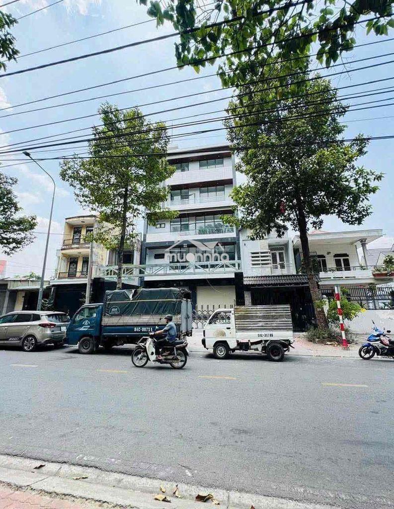 Cho thuê toà nhà mới 100% tt thủ dầu một- bình dương   - diện tích đất