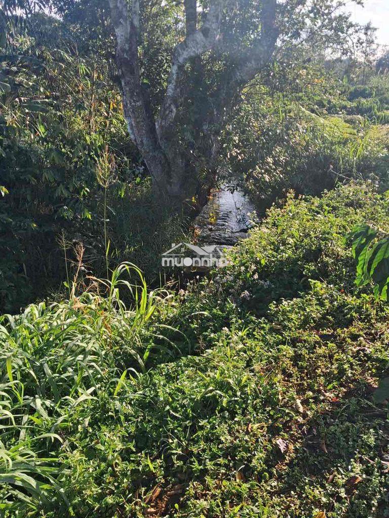Chính chủ bán 3.300m² đất b lá gần eco tropicana – 200m² thổ cư – view - 4