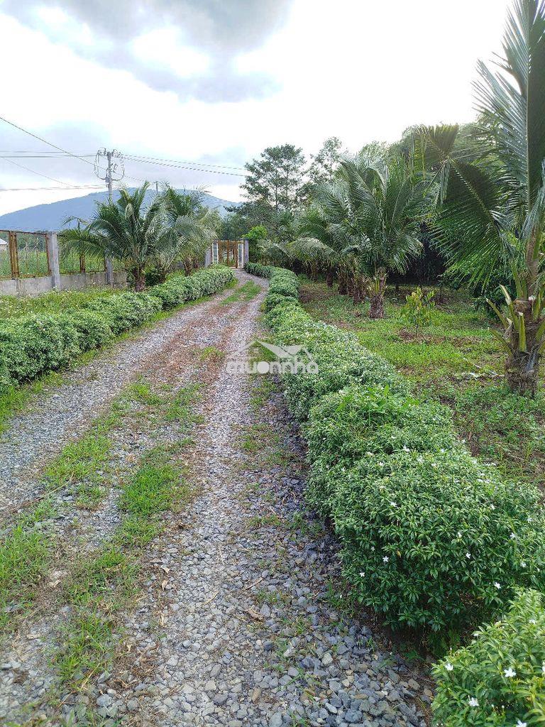Bán đất view nghỉ dưỡng 7000m2, có 300 thổ cư gần núi chứa chan, đ nai