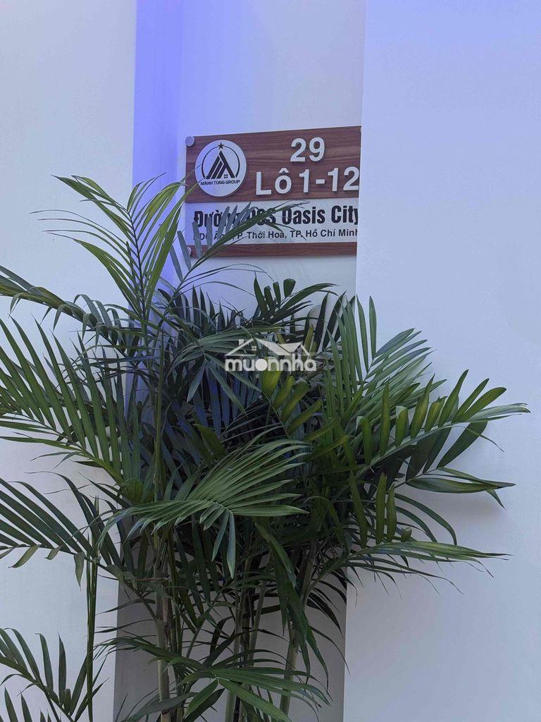 Cần bán nhà mới xây đang cho thuê 15 triệu