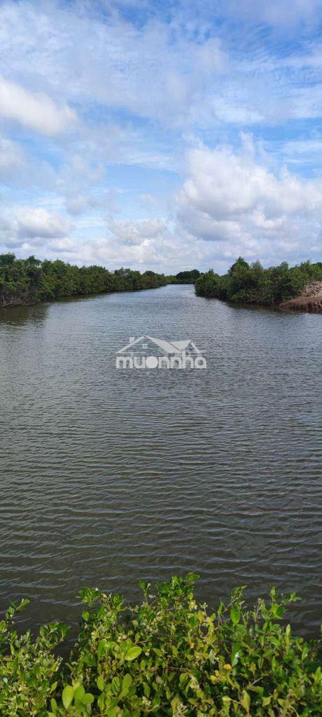 Cần bán đất nuôi thủy sản! - 4