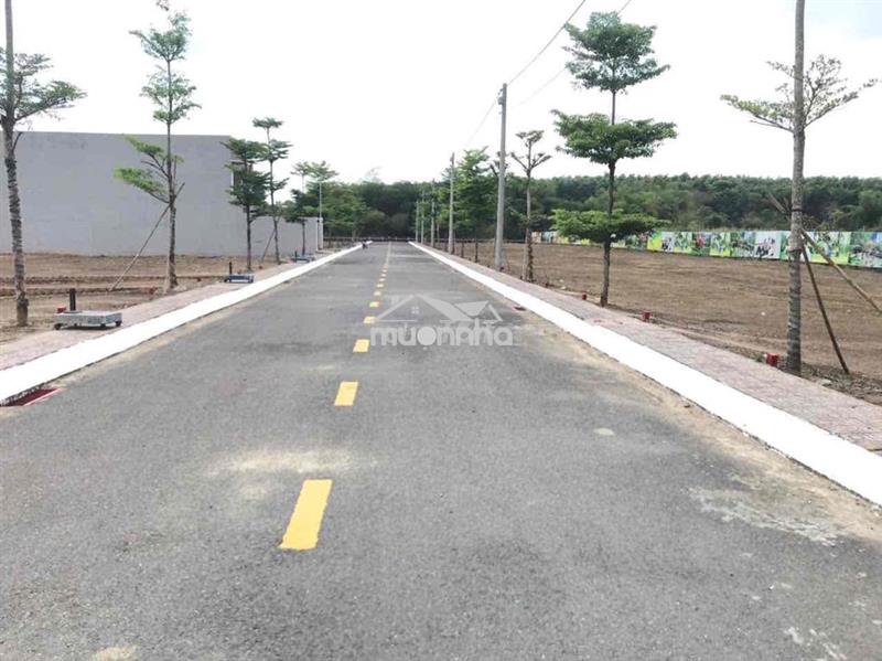 Bán đất ngay gần đường trảng bom đồi 61