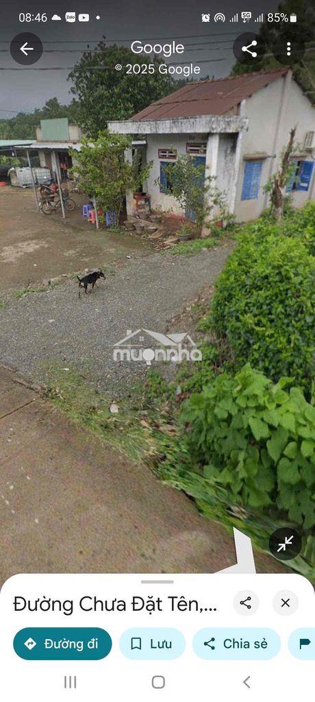 ĐẤT VƯỜN CÓ THỔ CƯ