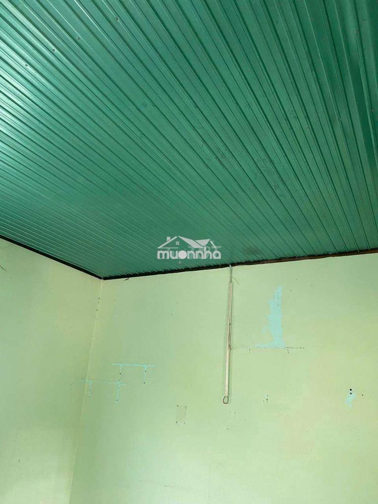 Cần cho thuê nhà cấp 4 và đất - 4
