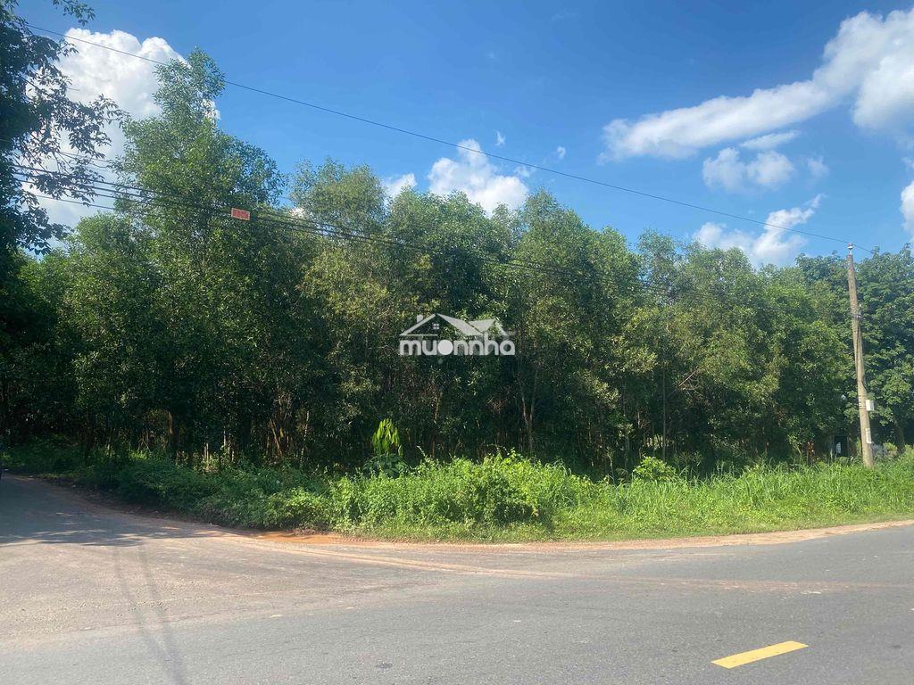 Bán 5600m2 đất 2 mặt tiền nhựa tân biên, tây ninh. giá 6,5 tỷ - 4