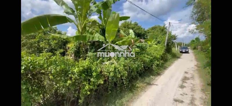 Đất trường đông hoà thành cln