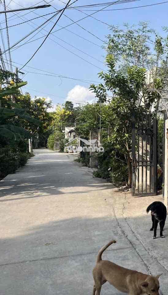 Chính chủ bán nhà vĩnh phú giáp ranh thủ đức - 2