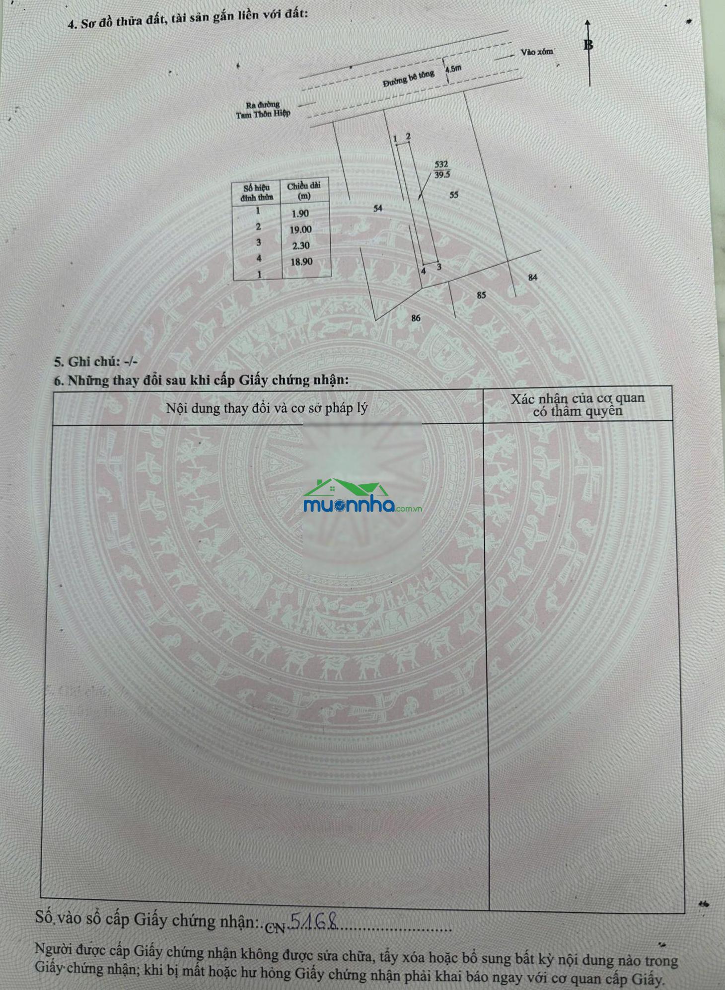 Nhà cấp 4 tam thôn hiệp cần giờ 250m2 giá 21tr/m2 - 3