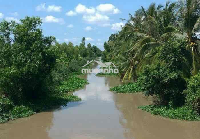 Đất vườn nghỉ dưỡng view sông ba lai