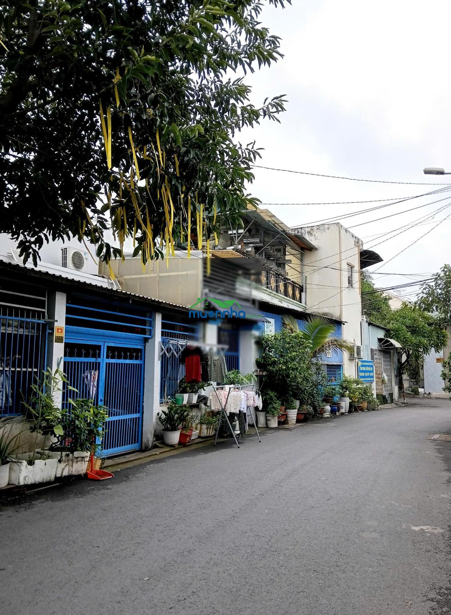 Hẻm nhựa 12m, ngang 7.6m, dt 182m2, giả chỉ 8x tỷ, có dòng tiền đều - 3