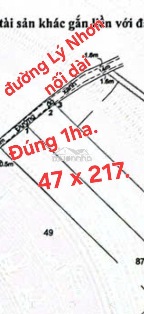Bán 1 ha đất mt đường 5m, lý nhơn nối dài, xã lý nhơn cũ, cần giờ