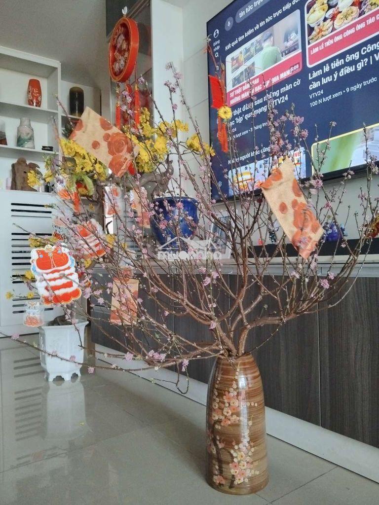 -Căn hộ penthouse -diện tích 145m