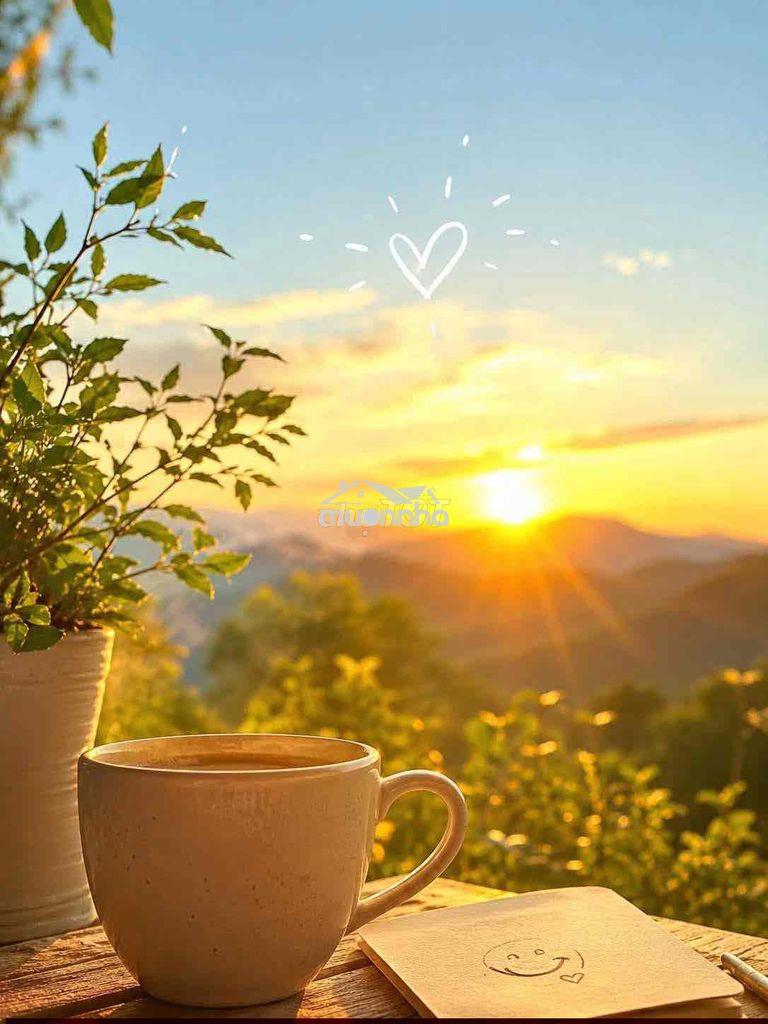 Cho thuê chdv phạm hữu lầu ngà mới sạch đẹp . full nt