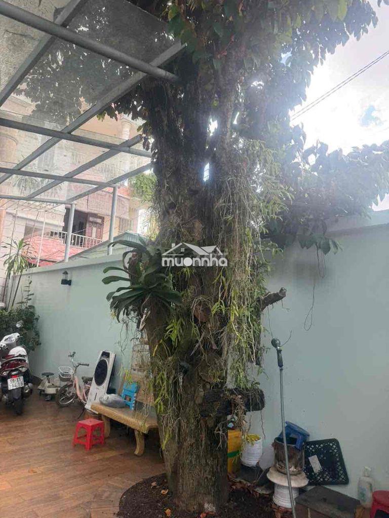 Nhà + 9 phòng trọ 385m2 thổ cư 100%-hẽm xe tải tăng nhơn phú-q9 - 3