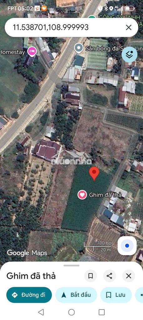 Đất trồng cây hàng năm - 3