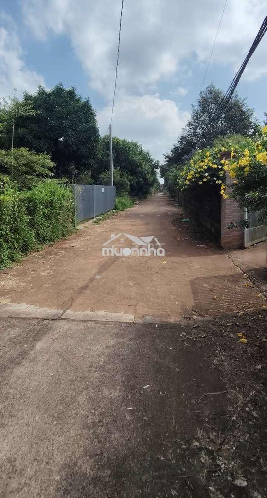 Bán đất ngay chợ bình lộc long khánh - 2
